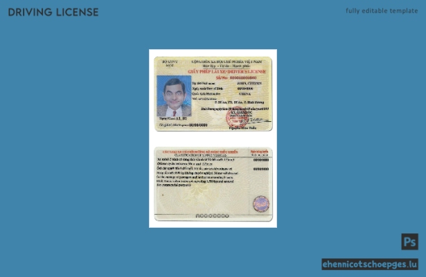 Beispiel für einen vietnamesischen Führerschein